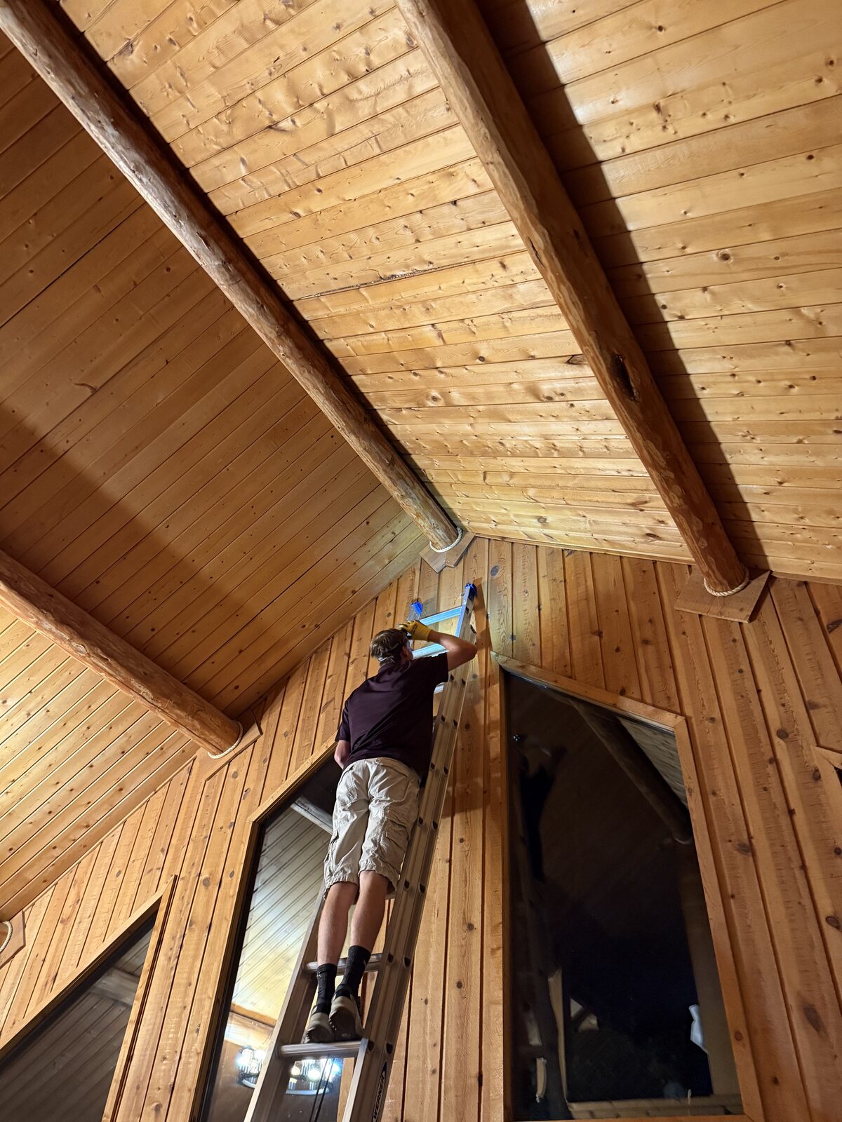 Idaho Wildlife Specialists technician sealing bat entry points inside a vaulted log home